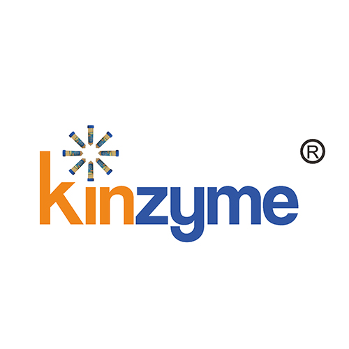 Kinzyme