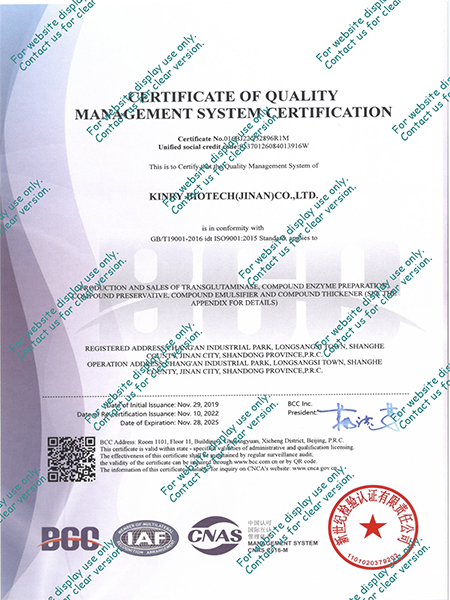 ISO 9001